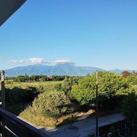 Villa Olympia Παραλία Εξωτερικό φωτογραφία
