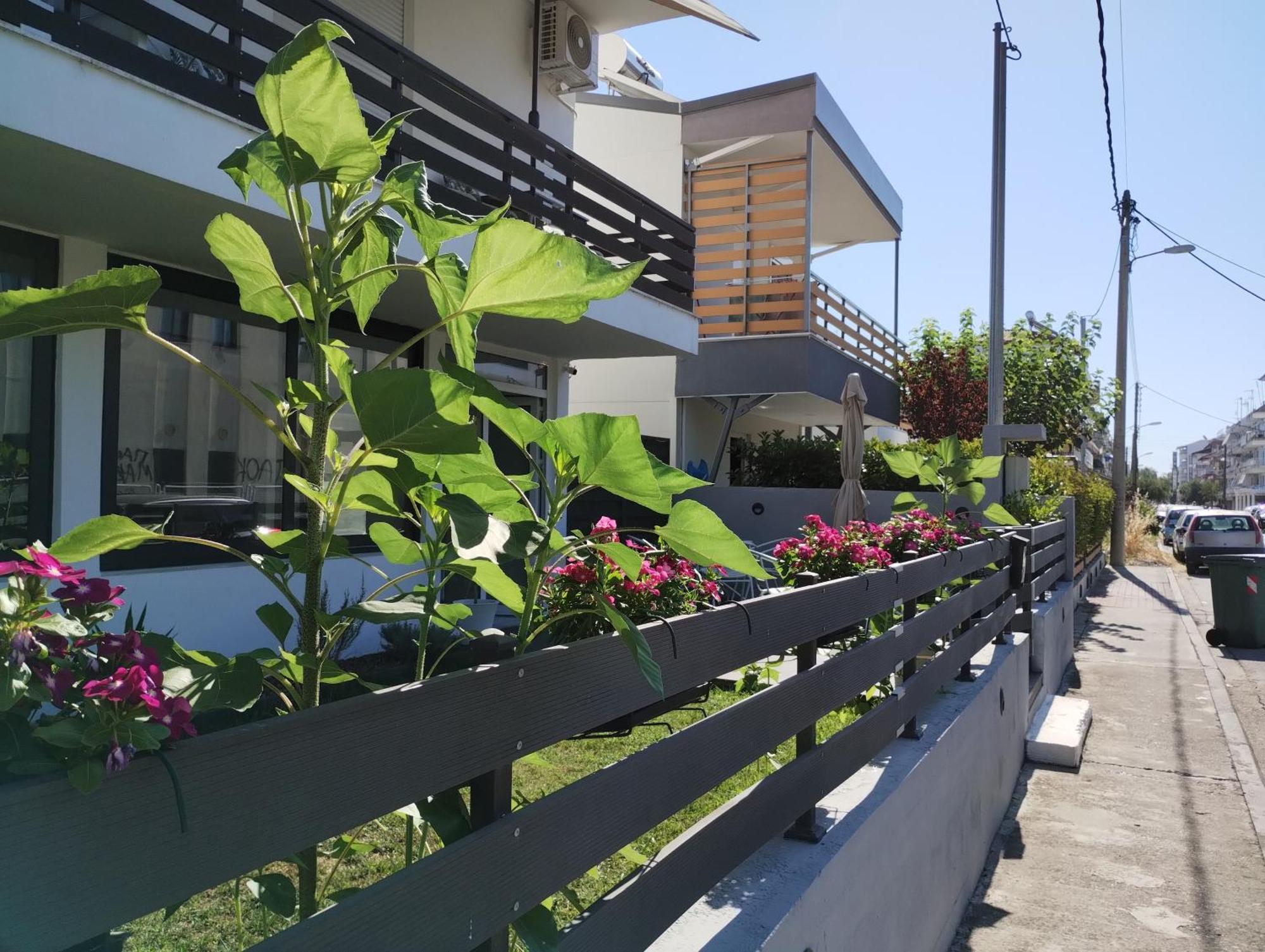 Villa Olympia Παραλία Εξωτερικό φωτογραφία