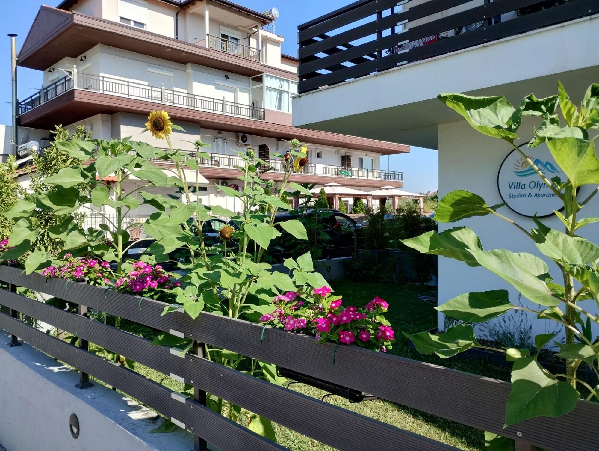 Villa Olympia Παραλία Εξωτερικό φωτογραφία